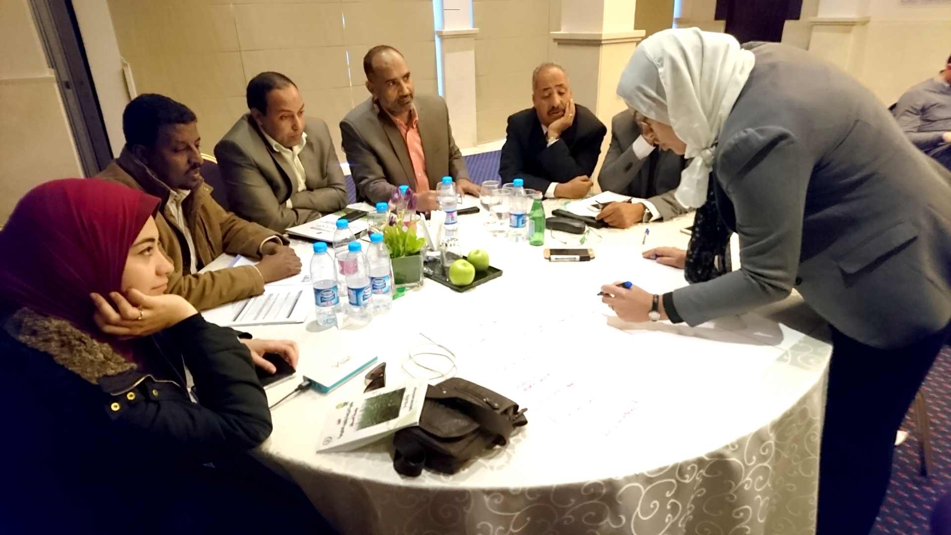 Kick-off Meeting and Regional Workshop 17-20 February, Jordan (4)