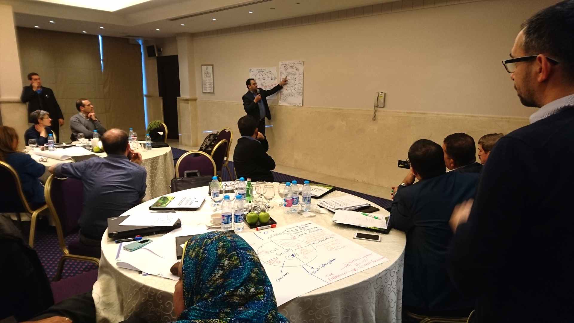 Kick-off Meeting and Regional Workshop 17-20 February, Jordan (9)